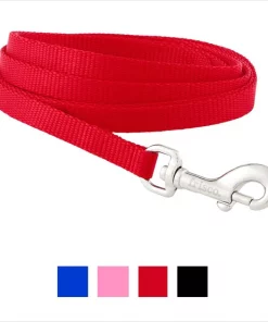 Frisco Solid Nylon Dog Leash