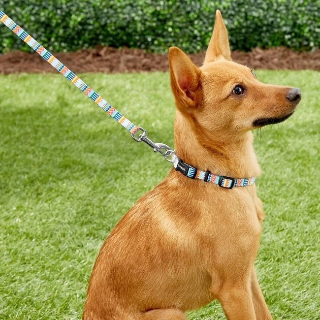 Frisco Patterned Polyester Dog Leash, Geo Graphic Print, X-Small: 6-ft long, 3/8-in wide Frisco Patterned Polyester Dog Leash -Frisco Sales 2024 137711 PT1. SY630 V1528228451