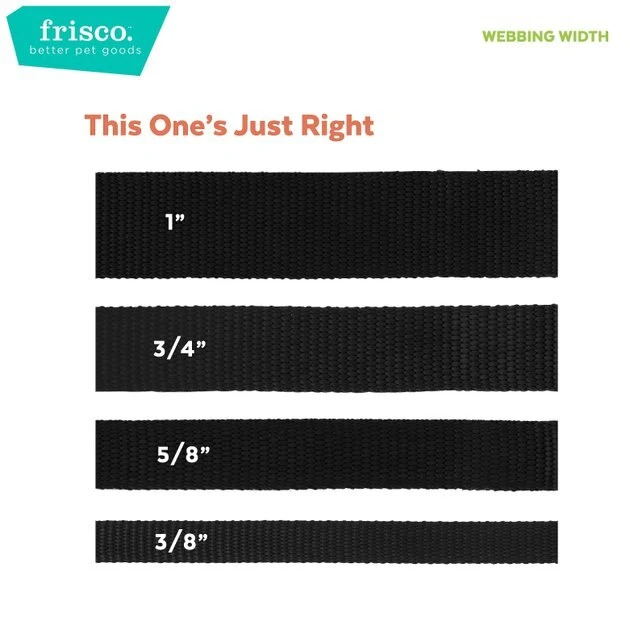 Frisco Patterned Polyester Dog Leash, Geo Graphic Print, X-Small: 6-ft long, 3/8-in wide Frisco Patterned Polyester Dog Leash -Frisco Sales 2024 137711 PT6. SY630 V1630006939