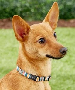 Frisco Patterned Polyester Dog Collar 4 Frisco Patterned Polyester Dog Collar -Frisco Sales 2024 137737 PT2. SY630 V1620515233