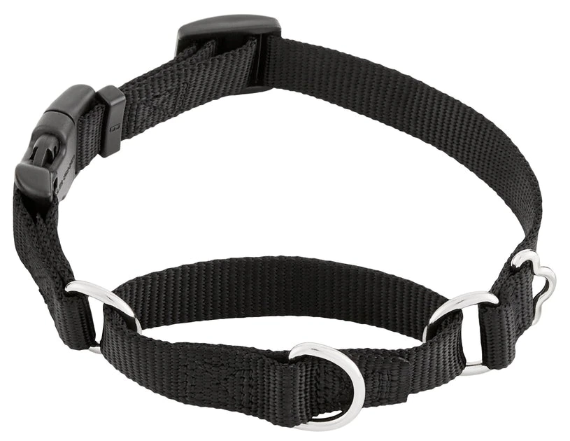 Frisco Solid Nylon Martingale Dog Collar with Buckle, Black, Small: 14 to 17-in neck, 3/4-in wide Frisco Solid Nylon Martingale Dog Collar with Buckle -Frisco Sales 2024 139159 Main. SY630 V1582828979