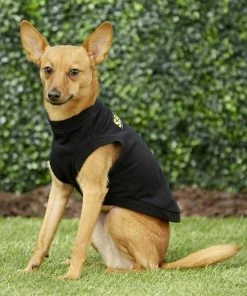 Frisco Security Dog & Cat T-Shirt -Frisco Sales 2024 139500 PT6. SY630 V1624615676