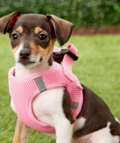 Frisco Small Breed Soft Vest Step In Back Clip Dog Harness 9 Frisco Small Breed Soft Vest Step In Back Clip Dog Harness -Frisco Sales 2024 139821 PT1. SY630 V1522358087