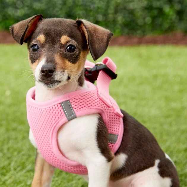 Frisco Small Breed Soft Vest Step In Back Clip Dog Harness 4 Frisco Small Breed Soft Vest Step In Back Clip Dog Harness - Image 2