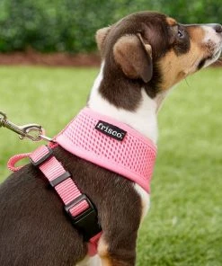 Frisco Small & Medium Breed Soft Mesh Back Clip Dog Harness -Frisco Sales 2024 139977 PT1. SY630 V1522358769
