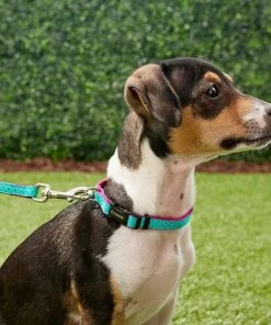 Frisco Patterned Nylon Dog Collar 9 Frisco Patterned Nylon Dog Collar -Frisco Sales 2024 140035 PT2. SY630 V1620170865