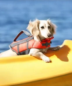 Frisco Ripstop Dog Life Jacket -Frisco Sales 2024 140916 PT7. SY630 V1631063778