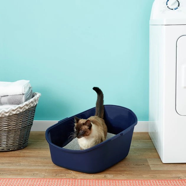 Frisco High Back Cat Litter Box, Navy, Extra Large 23-in Frisco High Back Cat Litter Box, Extra Large 23-in -Frisco Sales 2024 141374 MAIN. SY630 V1565285138