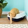 Frisco Open Top Cat Litter Box With Rim, Large 19-in