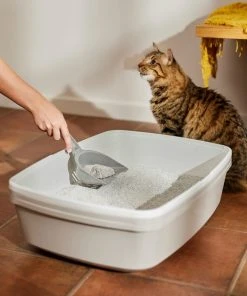 Frisco Unscented Clumping Clay Cat Litter, 35-lb bag -Frisco Sales 2024 142885 PT4. SY630 V1659023725