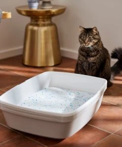 Frisco Summer Clean Scented Non-Clumping Crystal Cat Litter -Frisco Sales 2024 144146 PT4. SY630 V1659023731