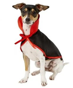 Frisco Vampire Cape Dog & Cat Costume 10 Frisco Vampire Cape Dog & Cat Costume -Frisco Sales 2024 144487 PT2. SY630 V1625870809