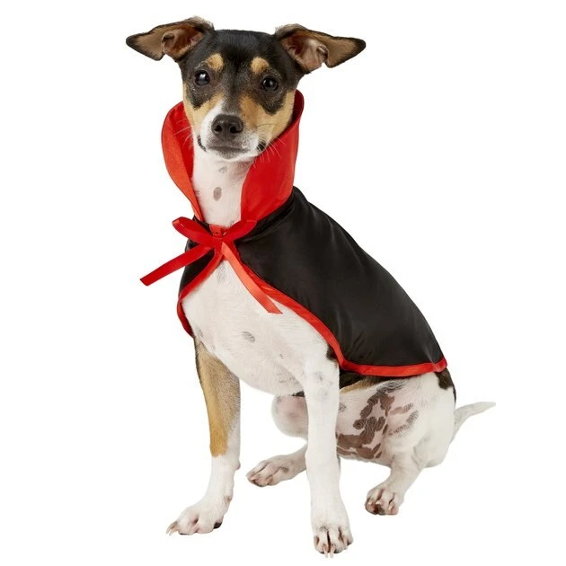 Frisco Vampire Cape Dog & Cat Costume 5 Frisco Vampire Cape Dog & Cat Costume - Image 3