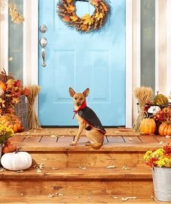 Frisco Vampire Cape Dog & Cat Costume 11 Frisco Vampire Cape Dog & Cat Costume -Frisco Sales 2024 144487 PT3. SY630 V1567175264