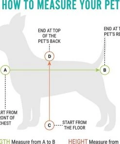 Frisco Basic Dog & Cat Carrier Bag, Black -Frisco Sales 2024 144990 PT4. SY630 V1569025683