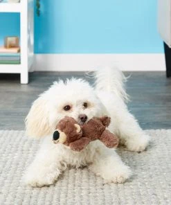 Frisco Plush Squeaking Bear Dog Toy 6 Frisco Plush Squeaking Bear Dog Toy -Frisco Sales 2024 146979 PT1. SY630 V1539205036