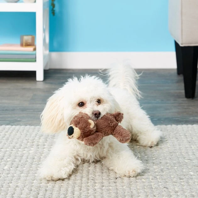 Frisco Plush Squeaking Bear Dog Toy 4 Frisco Plush Squeaking Bear Dog Toy - Image 2