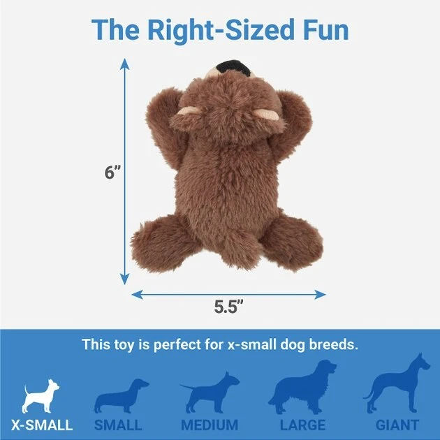 Frisco Plush Squeaking Bear Dog Toy 5 Frisco Plush Squeaking Bear Dog Toy - Image 3