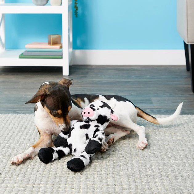 Frisco Plush with Inside Rope Squeaking Cow Dog Toy 4 Frisco Plush with Inside Rope Squeaking Cow Dog Toy - Image 2