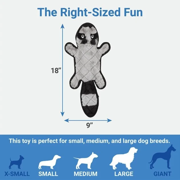 Frisco Flat Plush Squeaking Raccoon Dog Toy, Medium Frisco Flat Plush Squeaking Raccoon Dog Toy -Frisco Sales 2024 147071 PT1. SY630 V1589221357