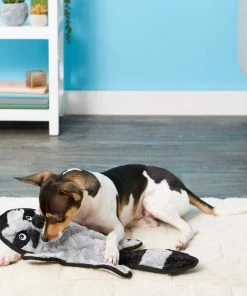 Frisco Flat Plush Squeaking Raccoon Dog Toy 4 Frisco Flat Plush Squeaking Raccoon Dog Toy -Frisco Sales 2024 147071 PT2. SY630 V1589405480