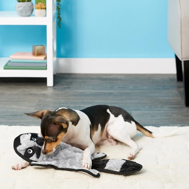 Frisco Flat Plush Squeaking Raccoon Dog Toy, Medium Frisco Flat Plush Squeaking Raccoon Dog Toy -Frisco Sales 2024 147071 PT2. SY630 V1589405480