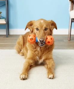 Frisco Rubber Dumbbell Dog Toy -Frisco Sales 2024 147108 PT1. SY630 V1539367927