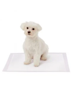 Frisco Dog Training Pads, 21 x 21-in, 100 count, Floral Scented -Frisco Sales 2024 149818 PT3. SY630 V1624495686