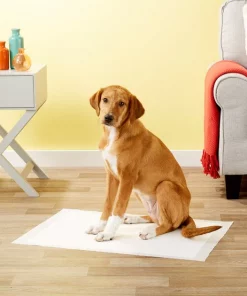 Frisco Dog Training Pads, 21 x 30-in, 30 count, Floral Scented -Frisco Sales 2024 149820 PT6. SY630 V1624495383