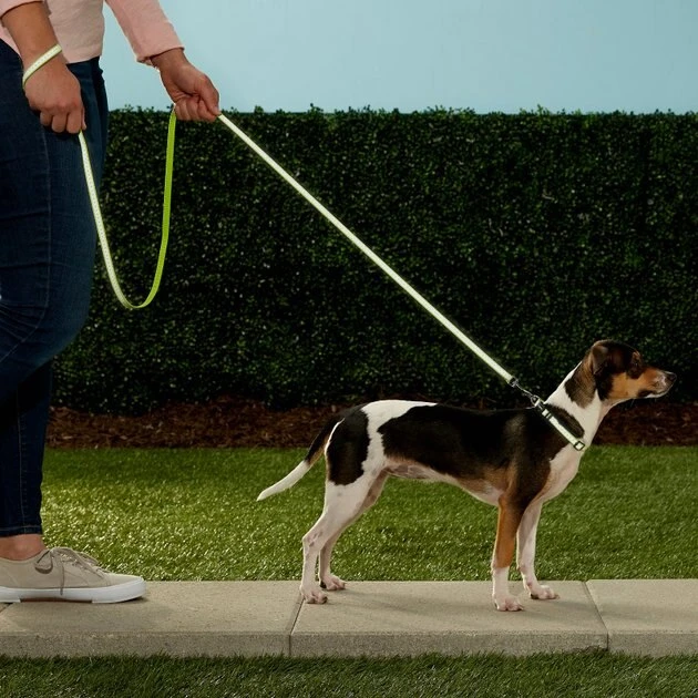 Frisco Patterned Nylon Reflective Dog Leash 7 Frisco Patterned Nylon Reflective Dog Leash - Image 5