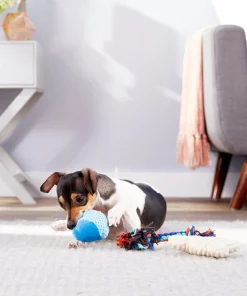 Frisco Hide & Seek Plush Chewy Box Puzzle Dog Toy Refills -Frisco Sales 2024 152818 PT2. SY630 V1549654939