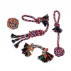 Frisco Rope Multipack for Small to Medium Dog Toys, 4 count -Frisco Sales 2024 152838 Main. SY630 V1549655012