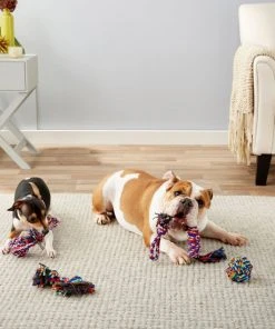 Frisco Rope Multipack for Small to Medium Dog Toys, 4 count 7 Frisco Rope Multipack for Small to Medium Dog Toys, 4 count -Frisco Sales 2024 152838 PT2. SY630 V1549655022