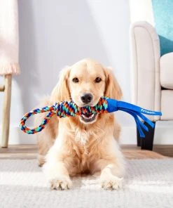 Frisco Rope with Handle & Tassels Dog Toy -Frisco Sales 2024 152840 PT2. SY630 V1549655030