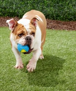 Frisco Tennis Ball with Rubber Sleeve, Medium -Frisco Sales 2024 152844 PT3. SY630 V1549655064