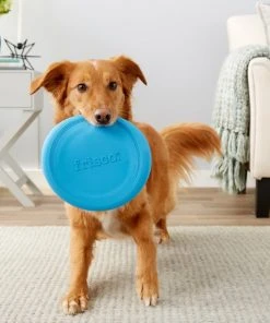 Frisco Fetch Rubber Flyer Dog Toy 8 Frisco Fetch Rubber Flyer Dog Toy -Frisco Sales 2024 152848 PT2. SY630 V1549655092