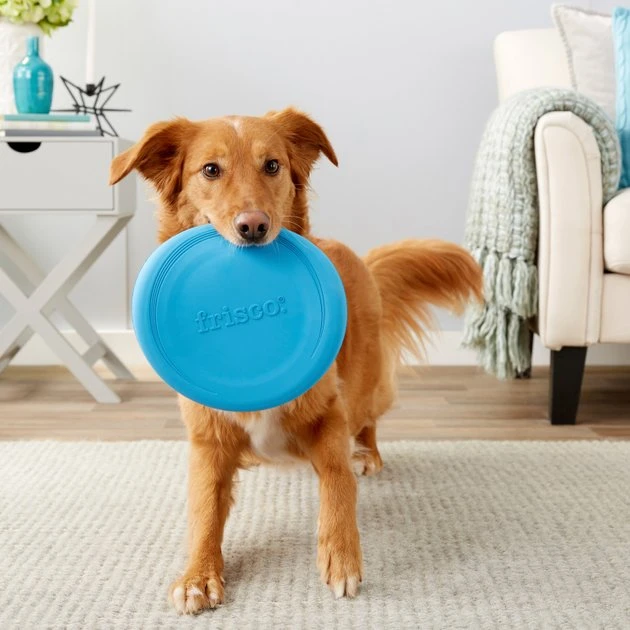 Frisco Fetch Rubber Flyer Dog Toy 5 Frisco Fetch Rubber Flyer Dog Toy - Image 3