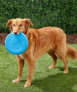 Frisco Fetch Rubber Flyer Dog Toy 9 Frisco Fetch Rubber Flyer Dog Toy -Frisco Sales 2024 152848 PT3. SY630 V1549655097