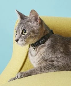 Frisco Nylon Breakaway Cat Collar with Bell 8 Frisco Nylon Breakaway Cat Collar with Bell -Frisco Sales 2024 153147 PT1. SY630 V1568380127