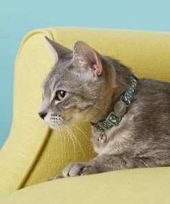Frisco Pineapple Polyester Breakaway Cat Collar with Bell -Frisco Sales 2024 153158 PT1. SY630 V1568380054