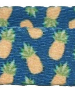 Frisco Pineapple Polyester Breakaway Cat Collar with Bell -Frisco Sales 2024 153158 PT3. SY630 V1568380088 scaled