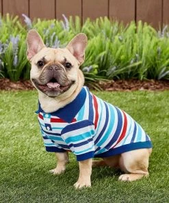 Frisco Striped Dog & Cat Polo Shirt, Red & Blue 15 Frisco Striped Dog & Cat Polo Shirt, Red & Blue -Frisco Sales 2024 153589 PT6. SY630 V1624902158