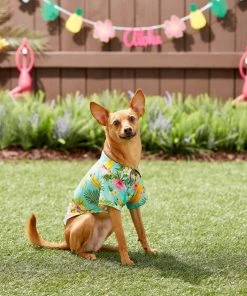 Frisco Pineapple Hawaiian Camp Dog & Cat Shirt -Frisco Sales 2024 153596 PT7. SY630 V1644884316