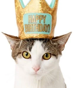 Frisco Happy Birthday Dog & Cat Crown -Frisco Sales 2024 153665 PT2. SY630 V1551230979