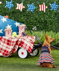 Frisco American Cutie Dog & Cat Sundress -Frisco Sales 2024 153735 PT4. SY630 V1633126624