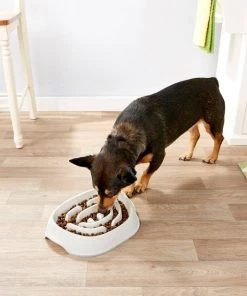 Frisco Non-Skid Slow Feeder Dog & Small Pet Bowl -Frisco Sales 2024 155647 PT4. SY630 V1553538752