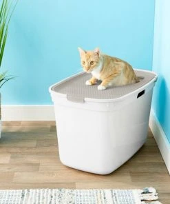 Frisco Top Entry Cat Litter Box, Large 23-in -Frisco Sales 2024 155652 PT4. SY630 V1552409851