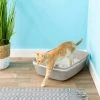 Frisco Sifting Cat Litter Box, Large, 22-in 1 Frisco Sifting Cat Litter Box, Large, 22-in -Frisco Sales 2024 155658 MAIN. SY630 V1565284998