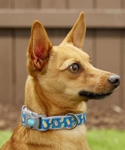 Frisco Patterned Neoprene Dog Collar -Frisco Sales 2024 156845 PT2. SY630 V1620166934