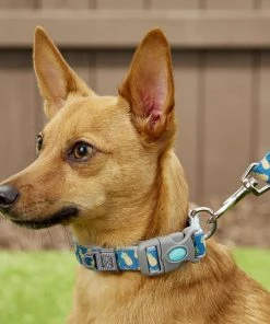 Frisco Patterned Neoprene Dog Leash -Frisco Sales 2024 156857 PT1. SY630 V1568380338